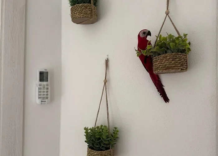 Apartman La Casa Di *